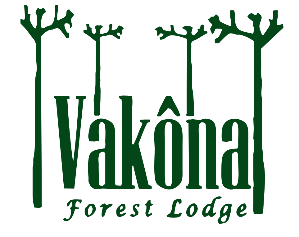 Vakôna Forest Lodge