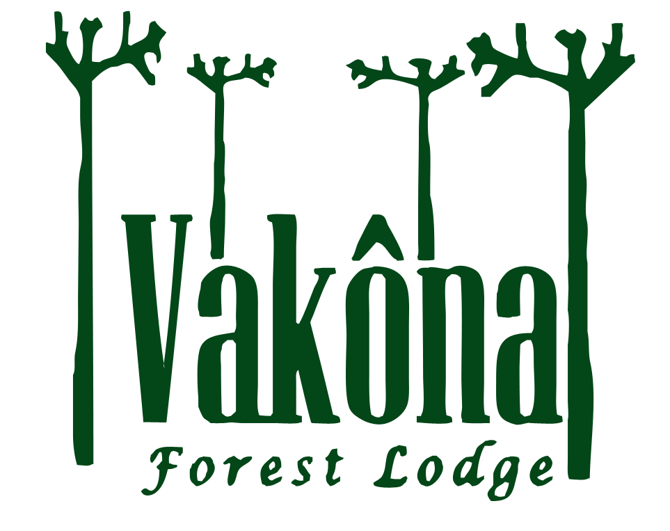 Vak na Hotel Vak na Forest Lodge